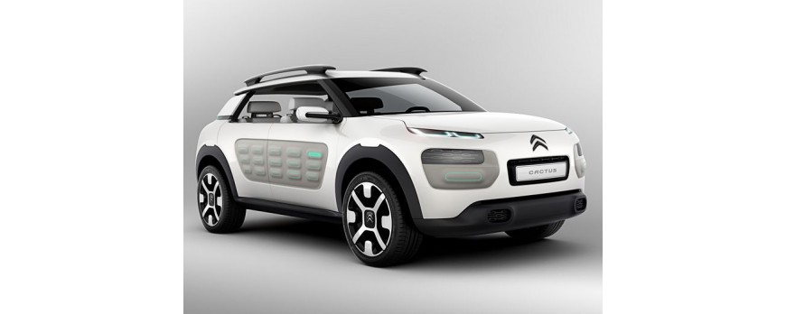 El Citroen C4 Cactus, con protector de puertas integrado